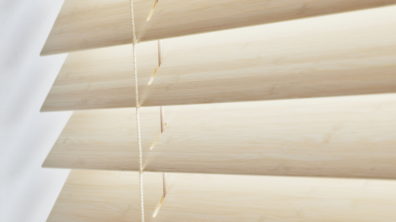 Bamboe image 2 - Frans